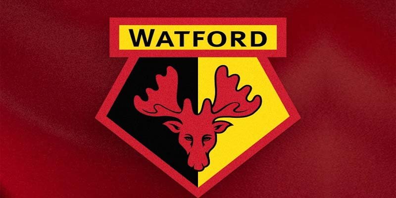 Watford FC: History, Achievements, and Premier League Journey